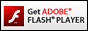 FLASHv[̃_E[h
